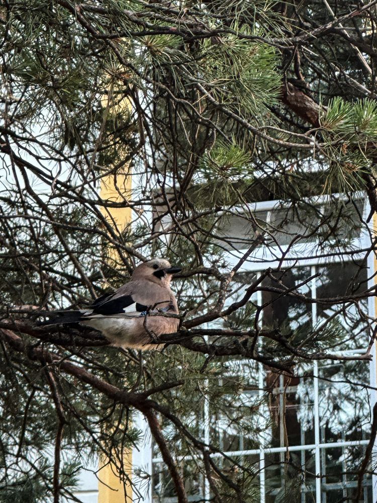 Photograph by Анна Петриенко