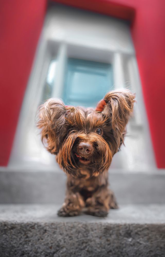 Фотография автора Eugenia Tuzova