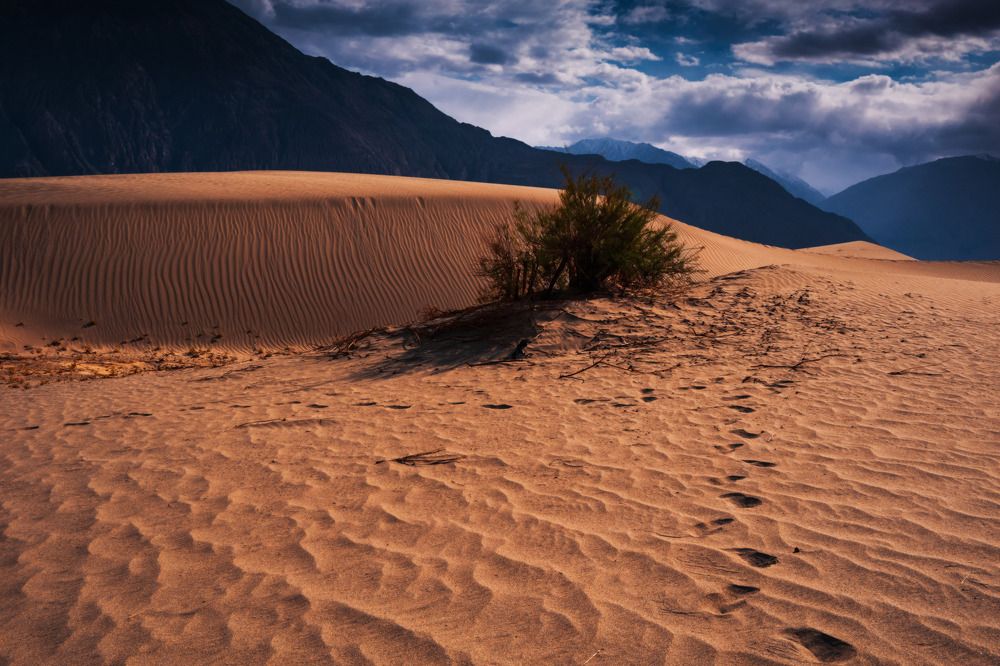 Photograph by Dibyajyoti Nath