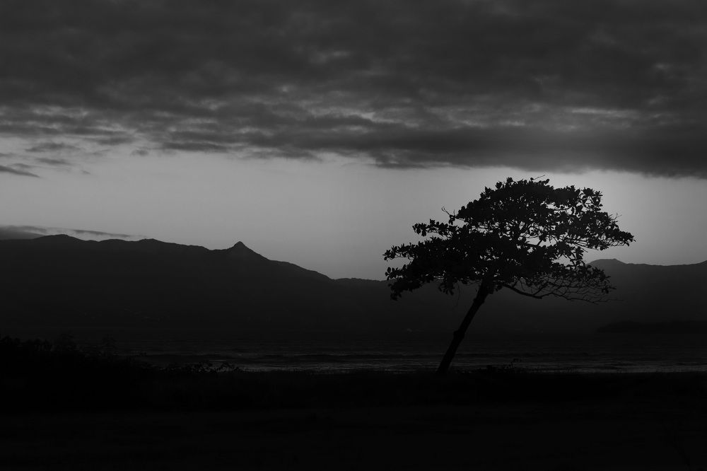 Photograph by Luiz Gustavo Campino Grunewald