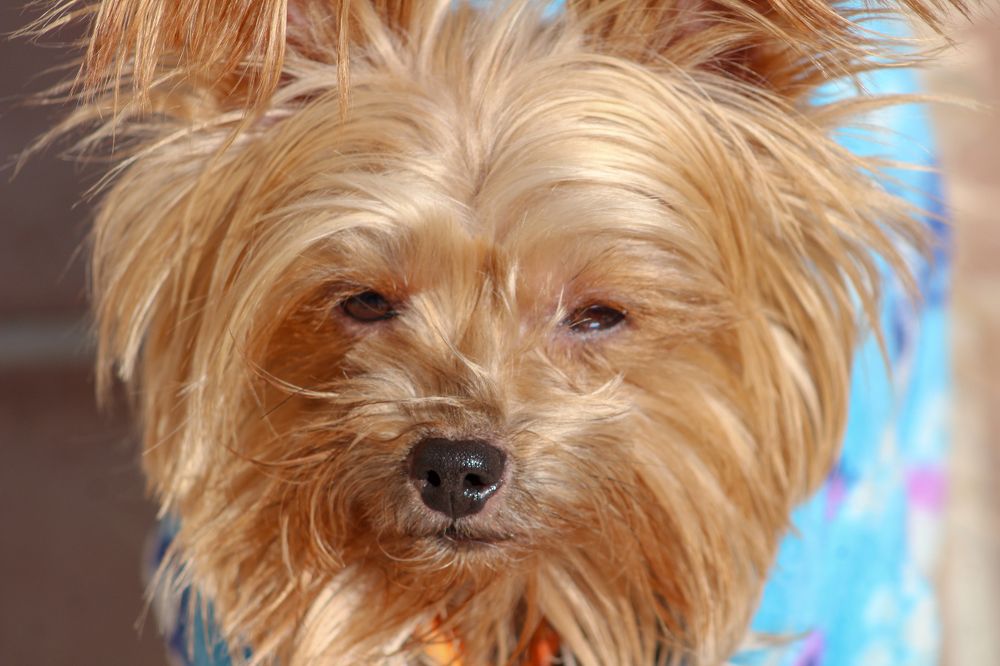 Photograph by JORGE DORANTES