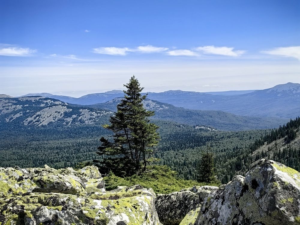 Photograph by Ольга Рыбалова