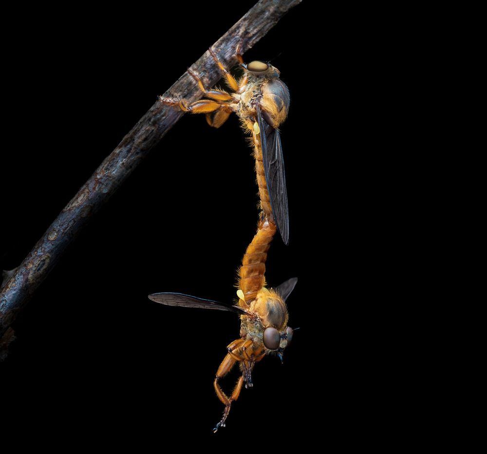 Photograph by Manjunath S