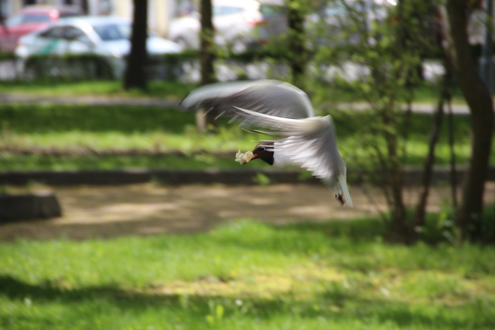 Photograph by Валентина