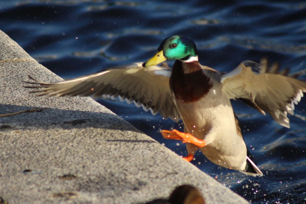 Photograph by Валентина