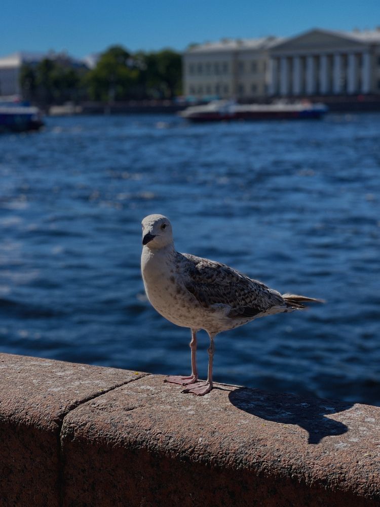 Photograph by Tina Baks