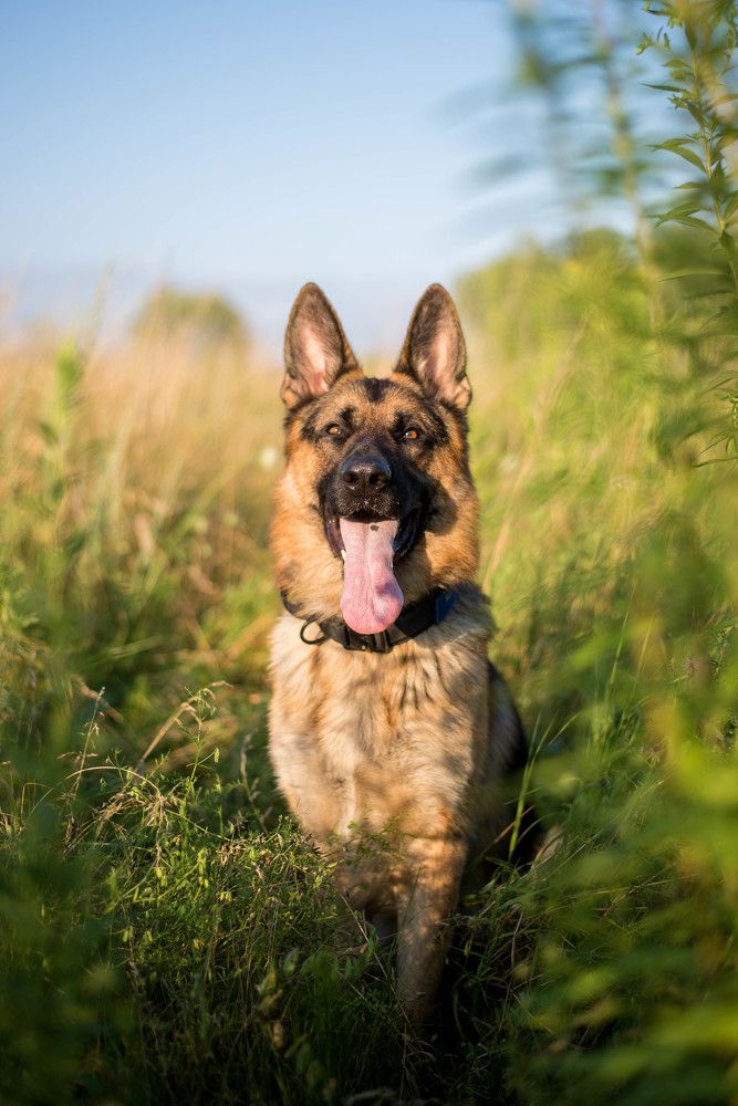 Photograph by Екатерина