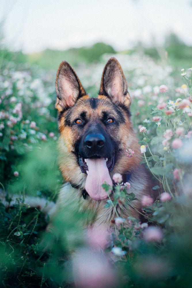 Photograph by Екатерина