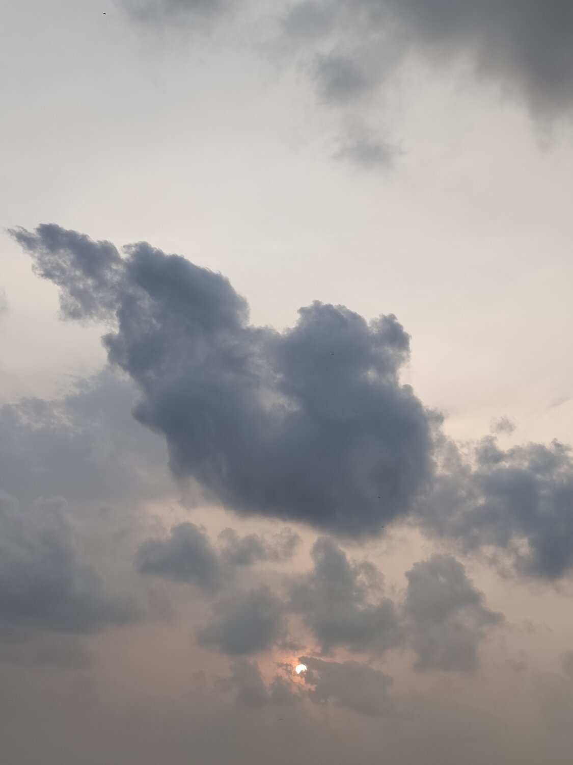 Photo #10828213