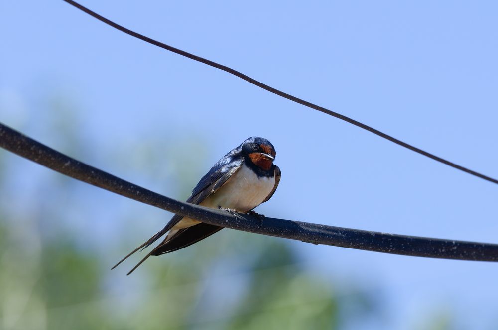 Photograph by Егор Кочергин