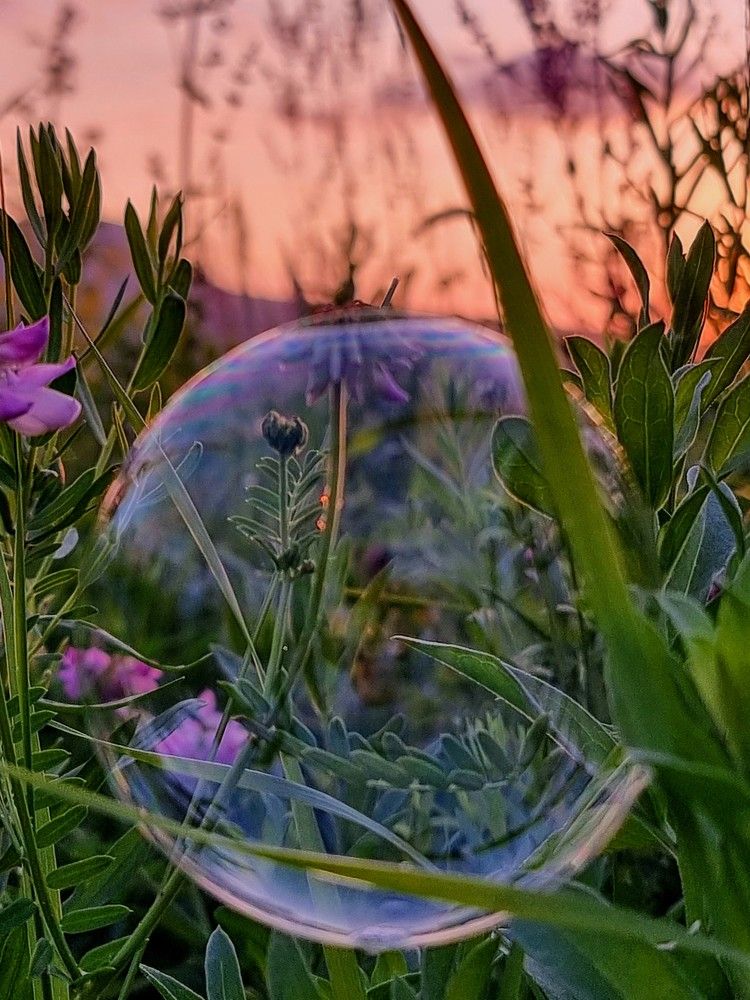 Photograph by Лидия Лащева