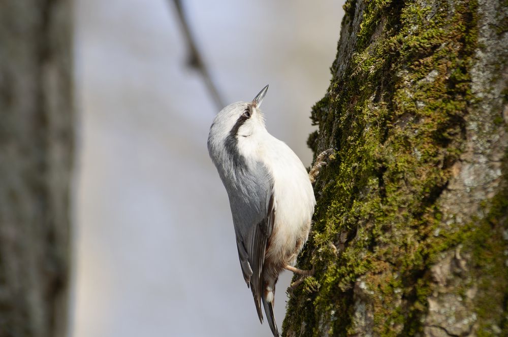 Photograph by Егор Кочергин