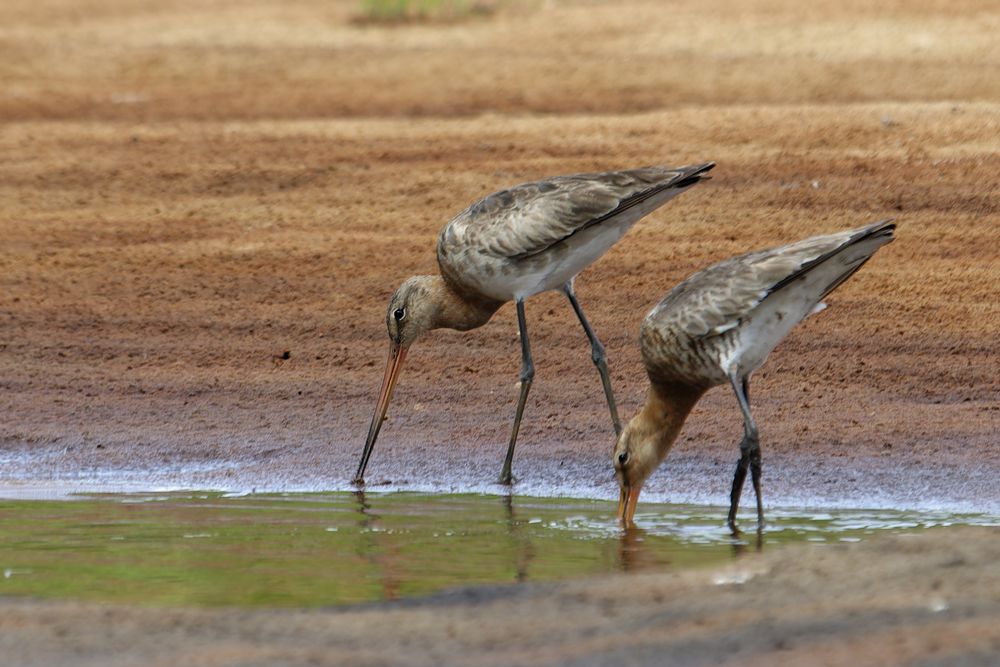 Photograph by Егор Кочергин