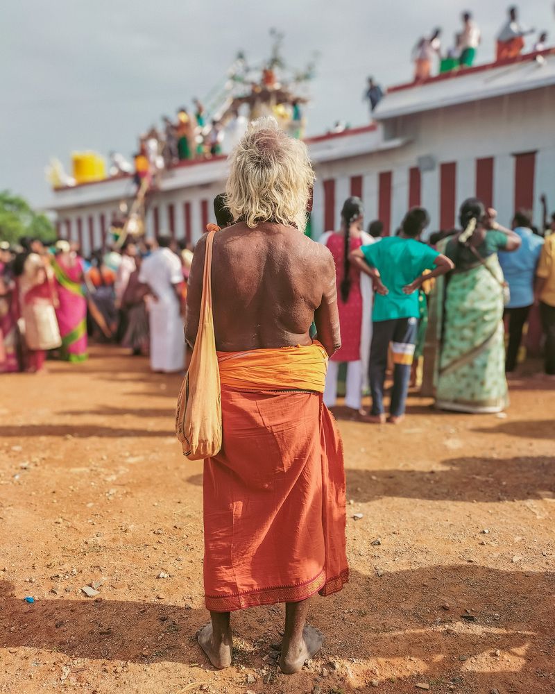 Beautiful Golden Evening