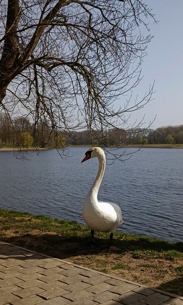 Photograph by Татьяна Яцкевич