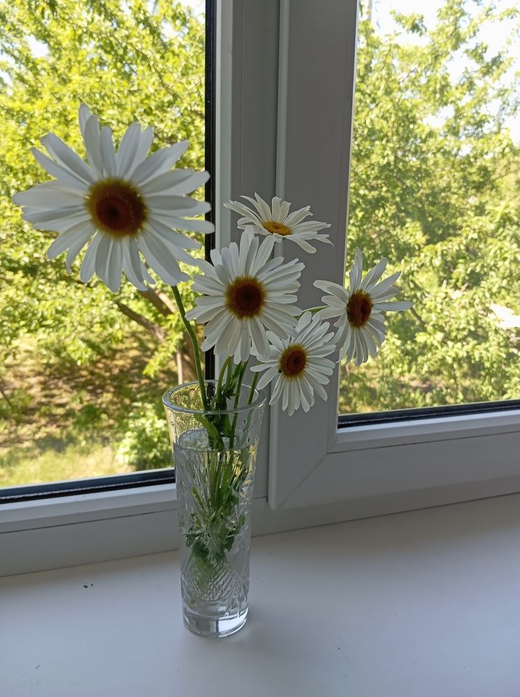 Photograph by Елена Коробченко