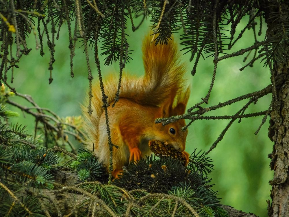 Photograph by Юлия Закопайло