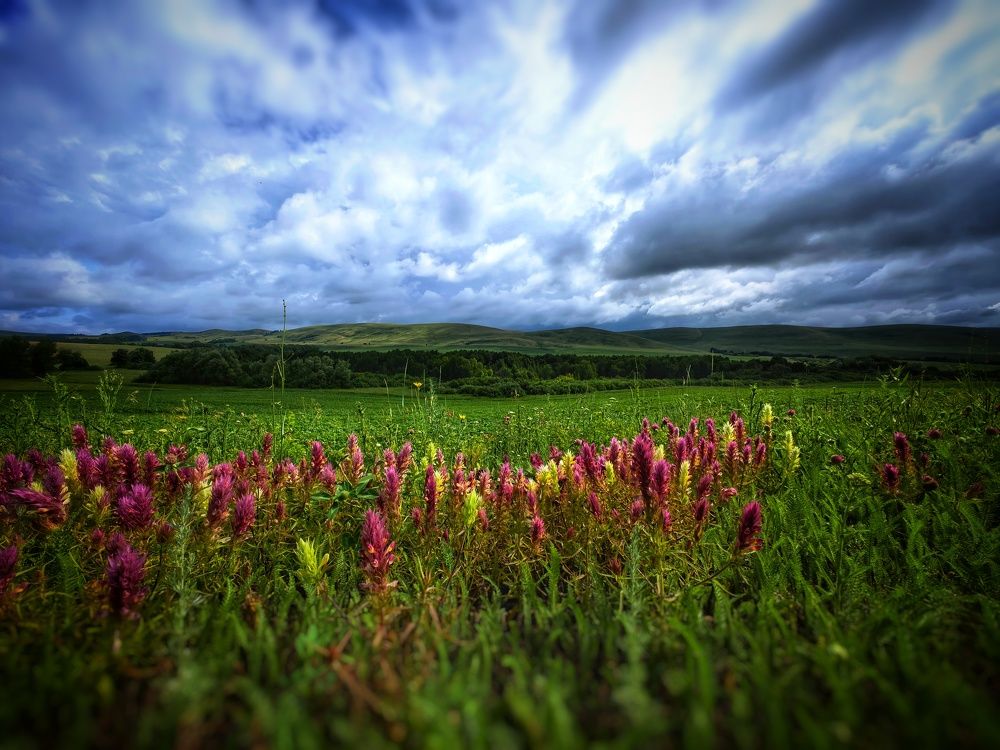 Photograph by Сергей Зайцев