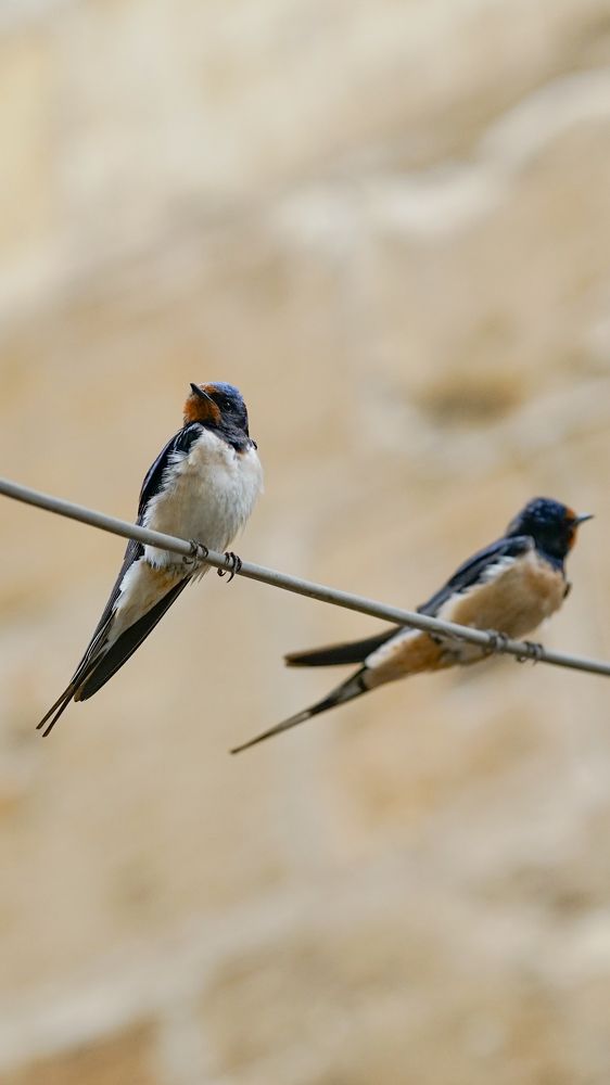 Photograph by müslüm kaplantaş