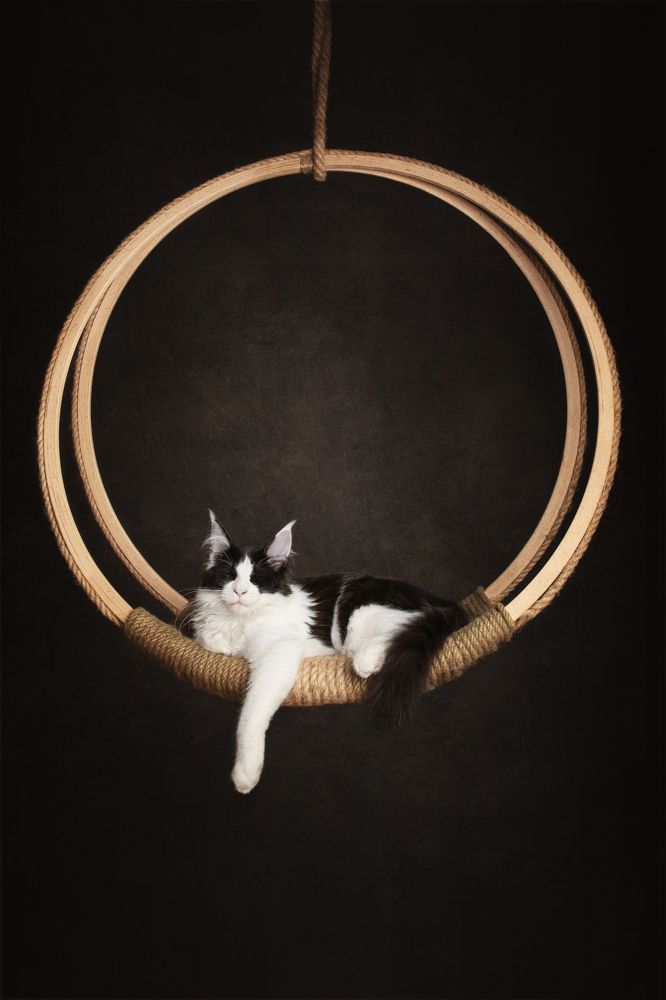 Photograph by mirka koot
