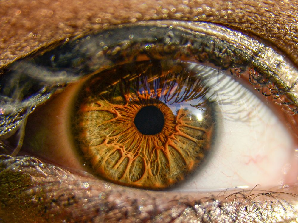 Photograph by müslüm kaplantaş