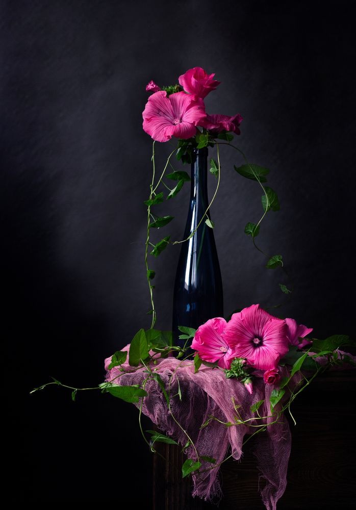 Photograph by Александра