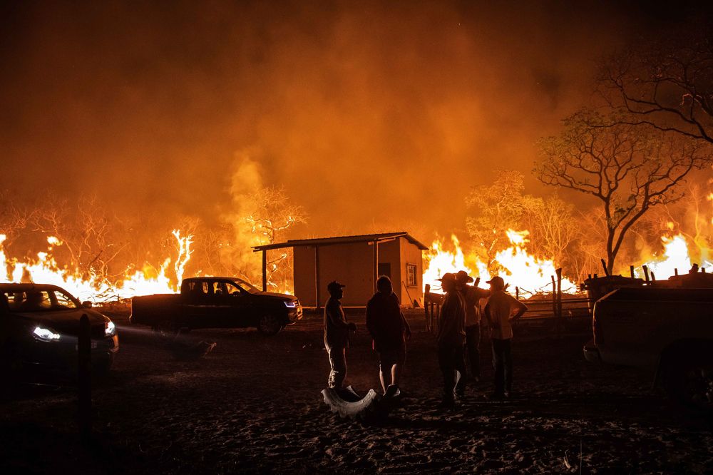 Photograph by EDINALDO A. VIEIRA