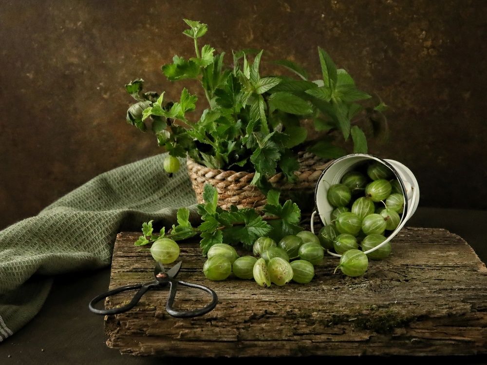 Photograph by Angelica Medvedeva