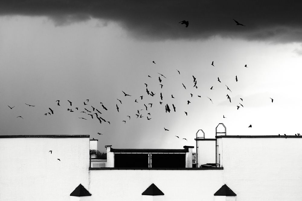 Photograph by Иван