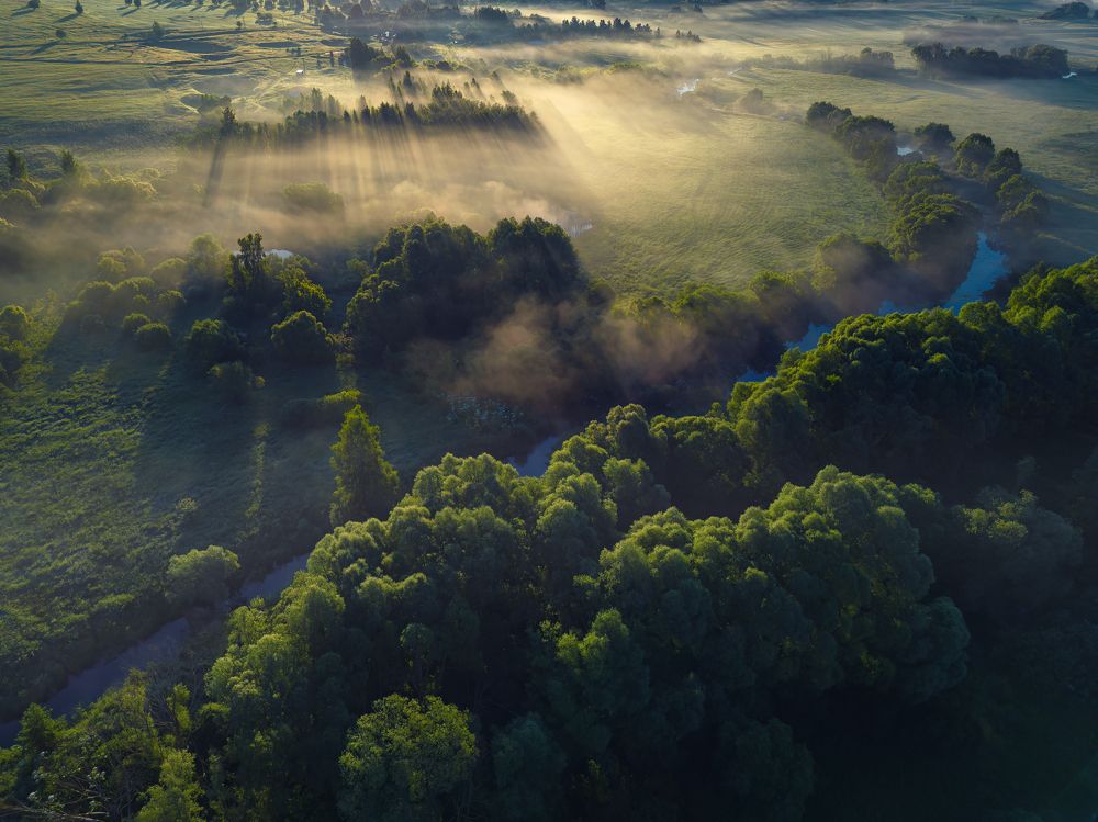 Photograph by Алексей Коврижных