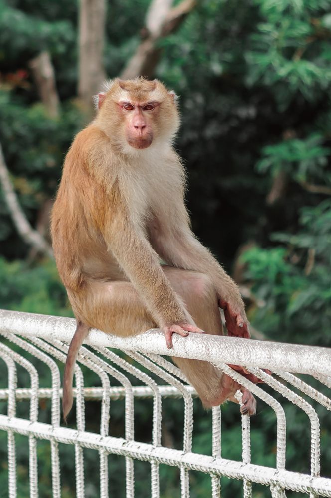 Photograph by Анна Орманжи