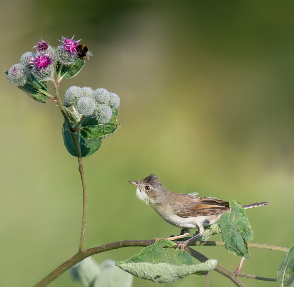 Фотография автора Михаил Ездаков