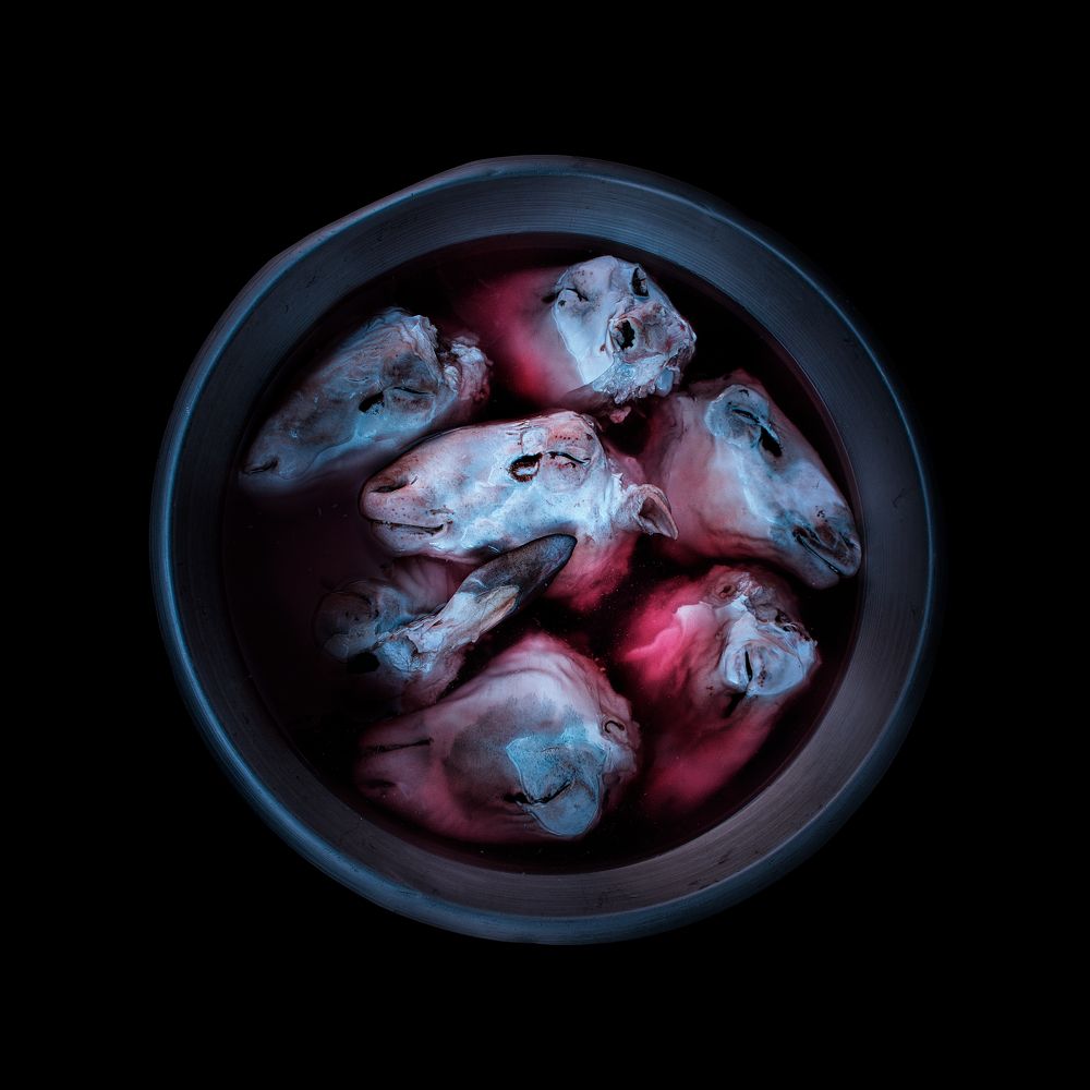 Фотография автора Mohammed Gharib