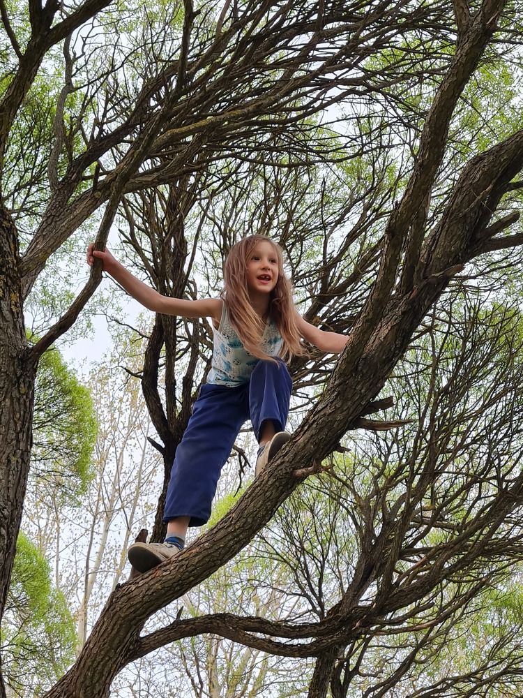 Детство Тарзана