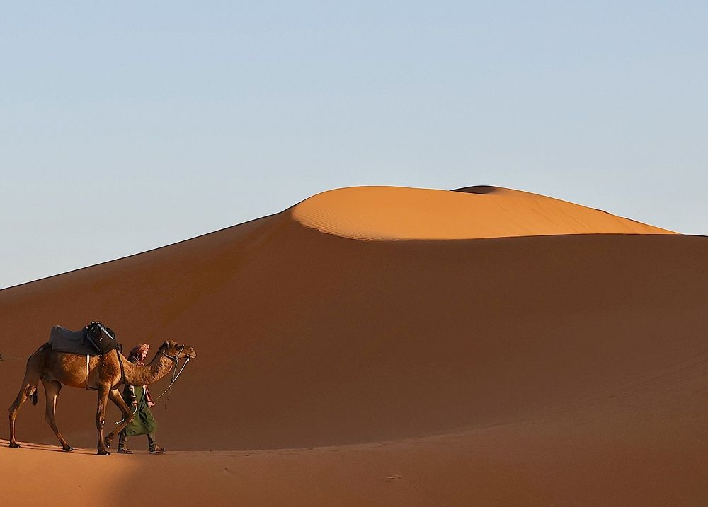 Photograph by Леонид Голубков