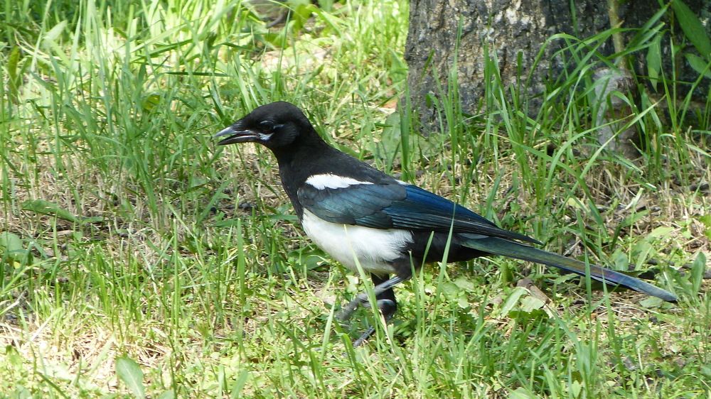Photograph by Максим Владимирович
