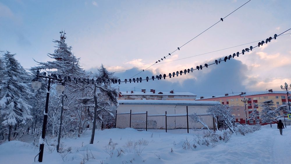 Photograph by Людмила Юрчук