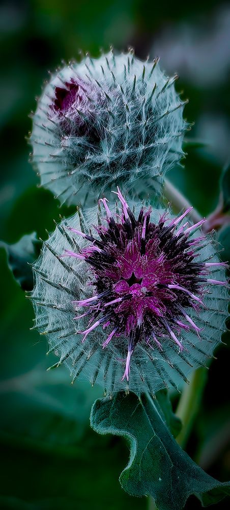 Photograph by Светлана Хамидулина