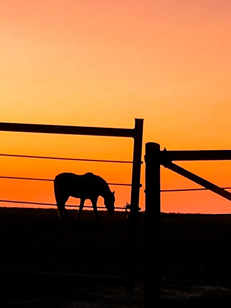 Photograph by Maria Julieta ZURZOLO