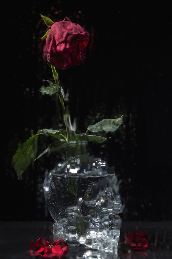 Photograph by Николай Владимирович