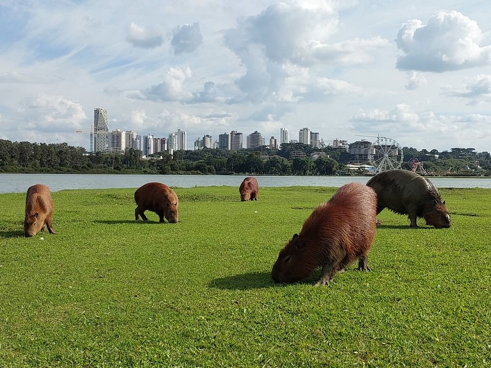 Photograph by Анна