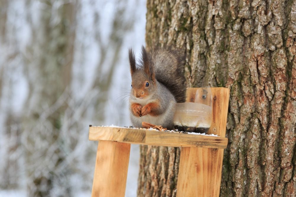 Фотография автора Анастасия Лапта