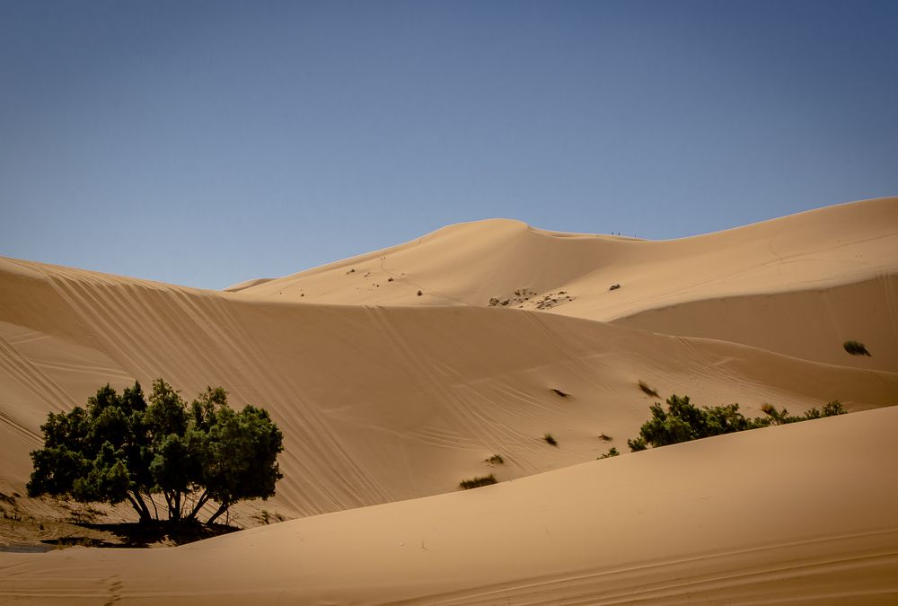 Photograph by Katja Sen