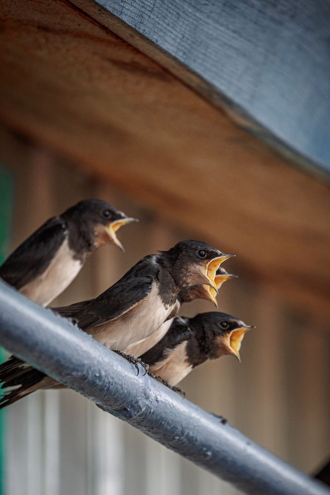 Photograph by Angelina Bukina