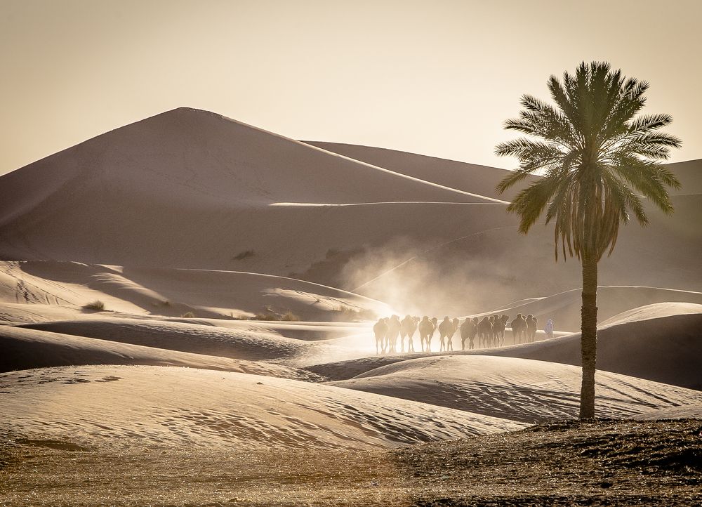 Photograph by Katja Sen