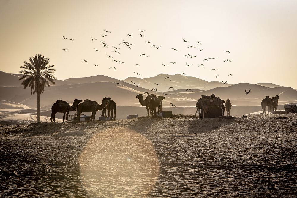 Photograph by Katja Sen