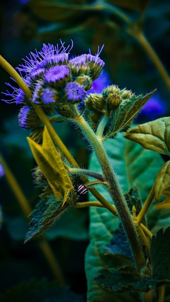 Фотография автора Иван Мисько