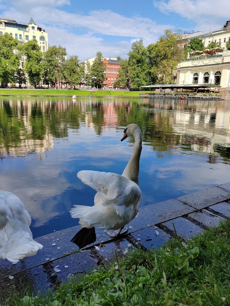 Фотография автора Татьяна Егорова