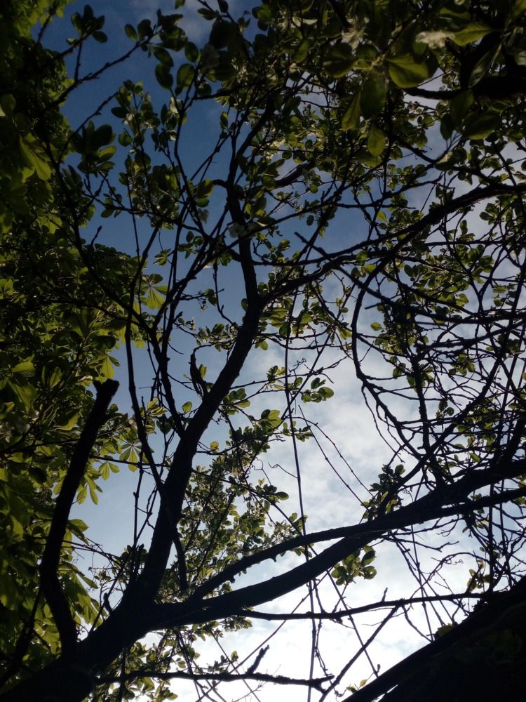Photograph by Алина