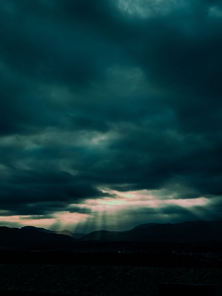 Photograph by Alonzo Contreras